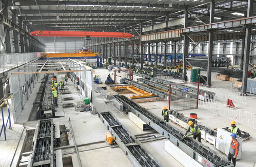 阿爾及利亞西部鐵路礦業線項目軌道工程全面啟動，打造區域經濟新動脈